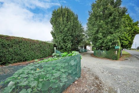 Photo of property in 310 Scott Street, Tisbury, Invercargill, 9877