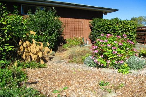 Photo of property in 24 Forest Road, Geraldine, 7930