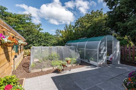 Photo of property in 81 Oxford Street, Lansdowne, Masterton, 5810