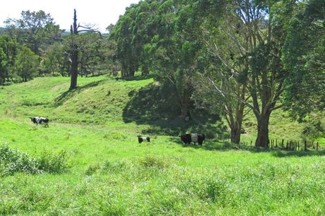 Photo of property in 80a Wainui Road South, Whakamarama, Katikati, 3181