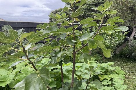 Photo of property in 74 Cambridge Terrace, Waterloo, Lower Hutt, 5011
