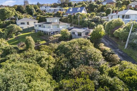 Photo of property in 43 Forfar Street, Clyde Hill, Dunedin, 9011