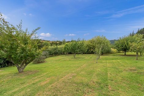 Photo of property in 873 Whangaripo Valley Road, Whangaripo, Wellsford, 0972
