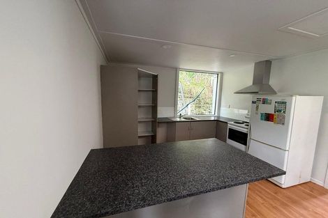 Photo of property in 38 Peter Street, Caversham, Dunedin, 9012