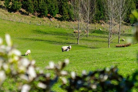 Photo of property in 275 Admiral Road, Admiral Hill, Gladstone, 5883