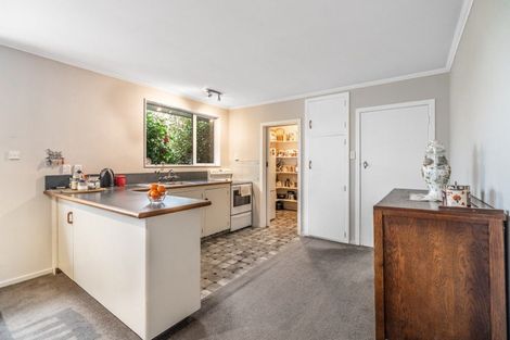 Photo of property in 59 Hillary Street, Winton, 9720