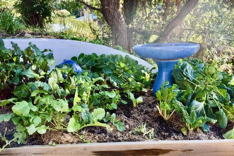 Photo of property in 16 Pine Grove, Tairua, 3508