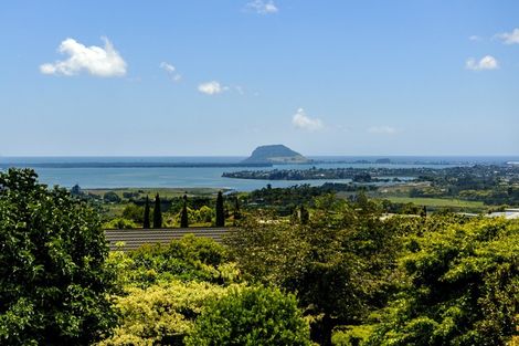 Photo of property in 261a Minden Road, Minden, Tauranga, 3176