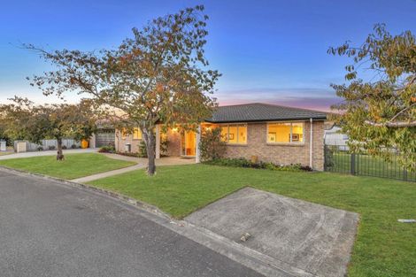 Photo of property in 5 Tereice Street, Witherlea, Blenheim, 7201