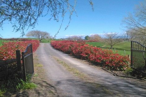 Photo of property in 178 Beer Road, Tauwhare, Cambridge, 3493