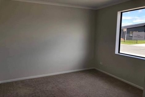 Photo of property in 42 Maggie Place, Chartwell, Hamilton, 3210