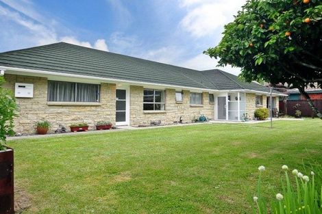 Photo of property in 3 Mcmeekan Avenue, Chartwell, Hamilton, 3210