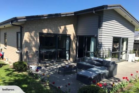 Photo of property in 19 Hillmorton Street, Hillmorton, Christchurch, 8024