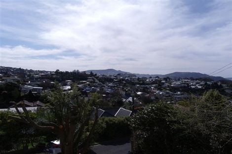 Photo of property in 21 Springhill Road, Mornington, Dunedin, 9011