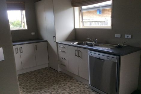 Photo of property in 21b Nelson Street, Hampstead, Ashburton, 7700