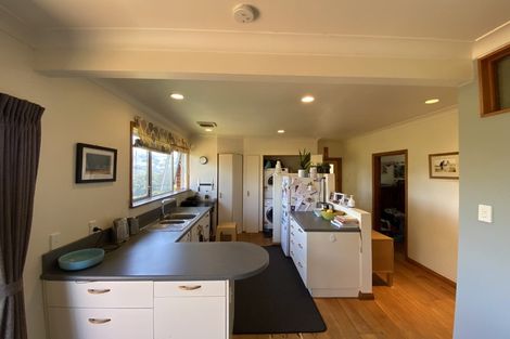 Photo of property in 183 Signal Hill Road, Opoho, Dunedin, 9010