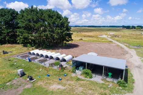 Photo of property in 76 Himatangi Beach Road, Himatangi, Foxton, 4891