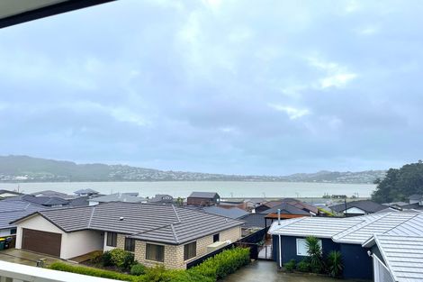 Photo of property in 29 Margaret Shields Avenue, Aotea, Porirua, 5024