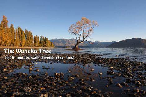 Photo of property in 151 Tenby Street, Wanaka, 9305