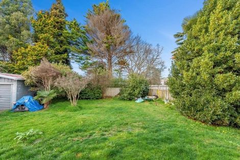 Photo of property in 117 Ngatai Street, Taumarunui, 3920