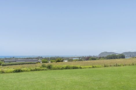 Photo of property in 36 Koutunui Road, Athenree, Katikati, 3177