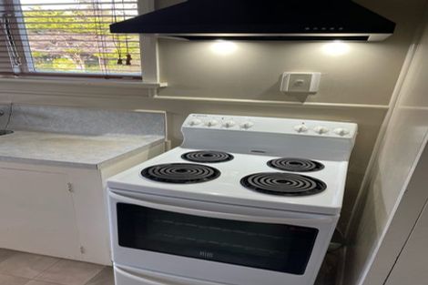 Photo of property in 115 Limbrick Street, Terrace End, Palmerston North, 4410