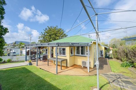 Photo of property in 24 Willoughby Street, Paeroa, 3600