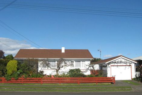 Photo of property in 14 Middlesex Street, Levin, 5510