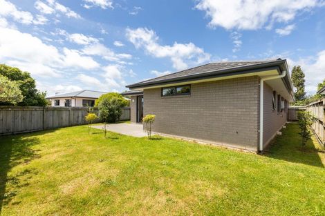 Photo of property in 213c Junction Road, Highlands Park, New Plymouth, 4371