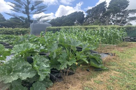 Photo of property in 70 Parore Street, Parore, Dargaville, 0372