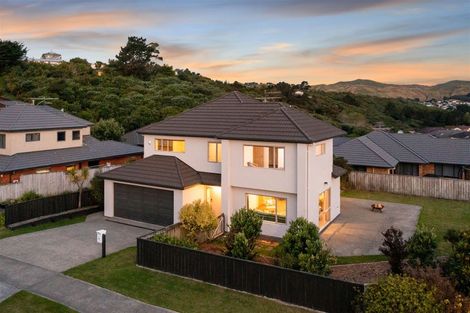 Photo of property in 2 Fiordland Place, Aotea, Porirua, 5024