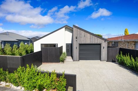 Photo of property in 46 Napier Road, Terrace End, Palmerston North, 4410
