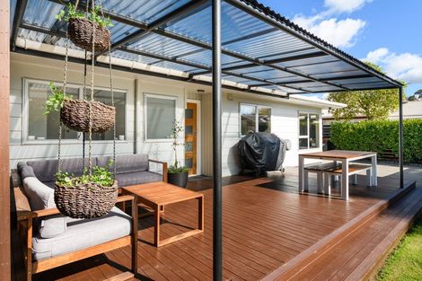 Photo of property in 16 Lane Place, Awapuni, Palmerston North, 4412