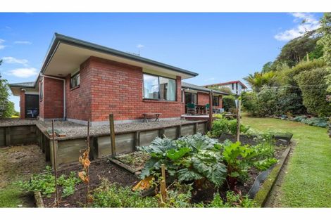 Photo of property in 25 Hamilton Street, Te Aroha, 3320