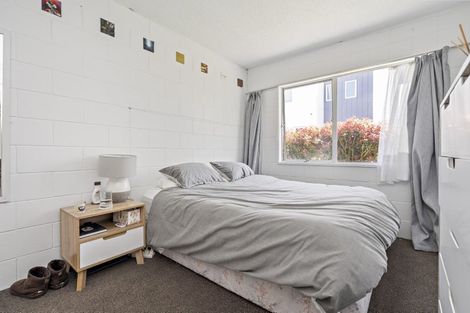 Photo of property in 45 York Street, Hamilton East, Hamilton, 3216