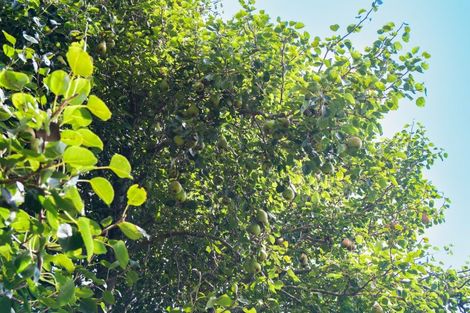 Photo of property in 29 Glenroy Place, Tikitere, Rotorua, 3074