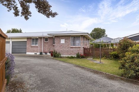 Photo of property in 44a-b Leefield Street, Blenheim, 7201