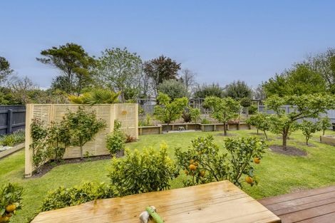 Photo of property in 31 Napier Street, Jervoistown, Napier, 4112