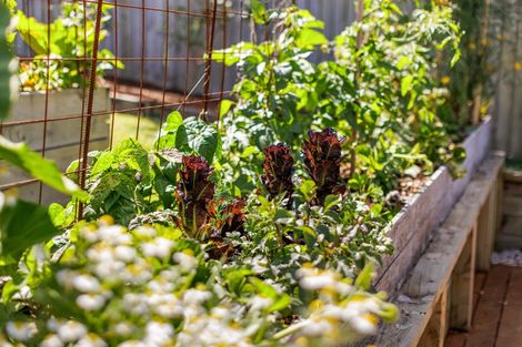 Photo of property in 49 Davies Road, Wellsford, 0900