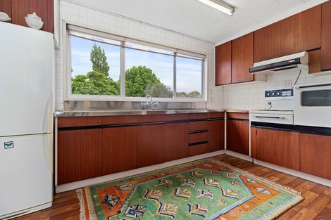 Photo of property in 62 Burwood Road, Matamata, 3400