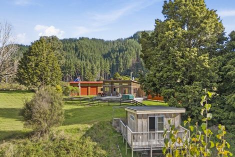 Photo of property in 1400 Kaitieke Road, Kaitieke, Owhango, 3990