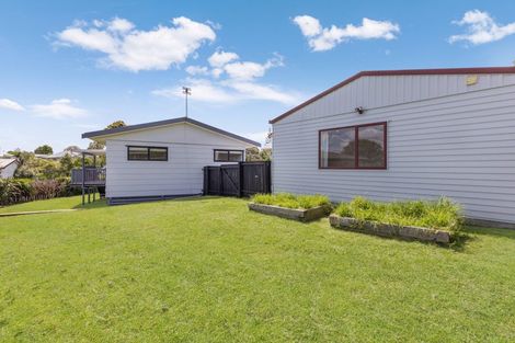 Photo of property in 54 Hinerau Street, Henderson, Auckland, 0612