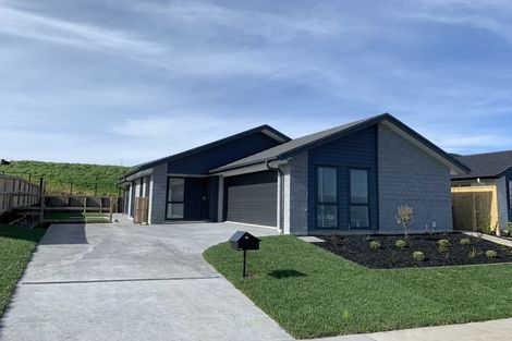 Photo of property in 20 Stingray Drive, Omokoroa, 3114