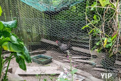 Photo of property in 25 Prospect Terrace, Johnsonville, Wellington, 6037