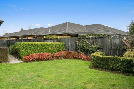 Photo of property in 18a Jasmine Place, Cambridge, 3434