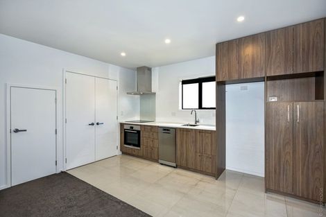Photo of property in 24b Parlane Street, Addington, Christchurch, 8024