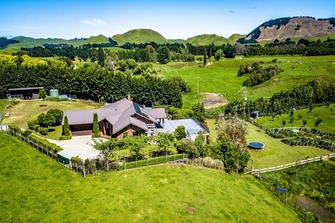 Photo of property in 388 Hinerangi Road, Hatuma, Waipukurau, 4281