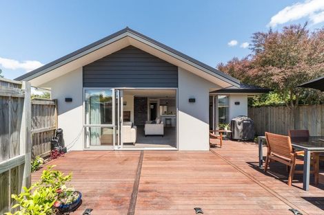 Photo of property in 33a Windsor Street, Terrace End, Palmerston North, 4410