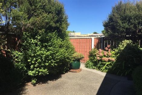 Photo of property in 112c Grove Street, The Wood, Nelson, 7010