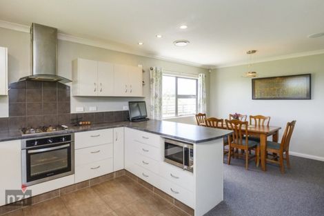 Photo of property in 1107 Taonui Road, Colyton, Feilding, 4775